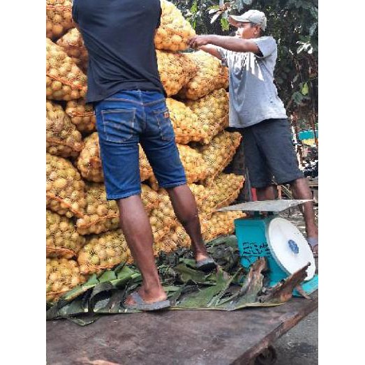 

PALING HOT!! KODE-597 Jeruk Lemon Lokal grade A 1kg