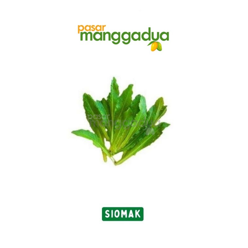 

Siomak / Selada Wangi Per Kg / Produk Musiman
