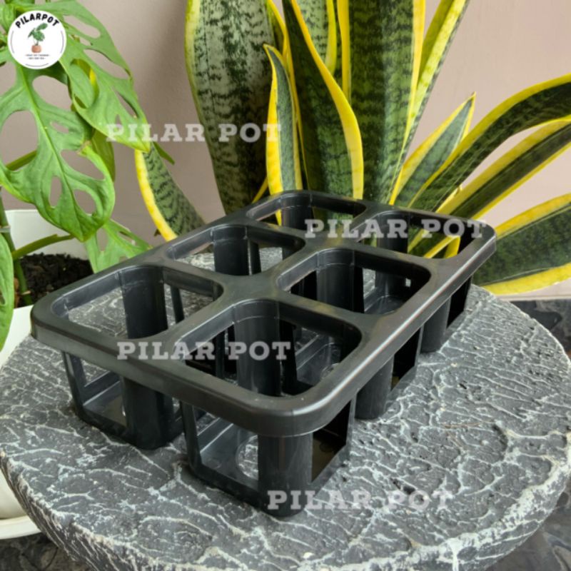 Tray pot nkt kotak 7CM (tanpa pot) | nkt kotak 7CM | tray semai bibit