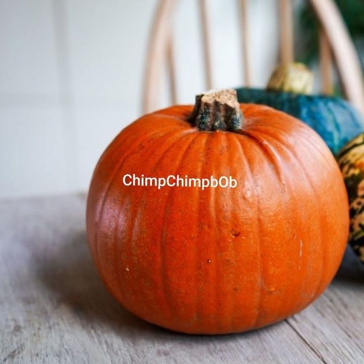 

LABU / PUMPKIN KABOCHA KUNING 1 PCS / KABOCHA SQUASH / KABOCHA ORANGE FRESH