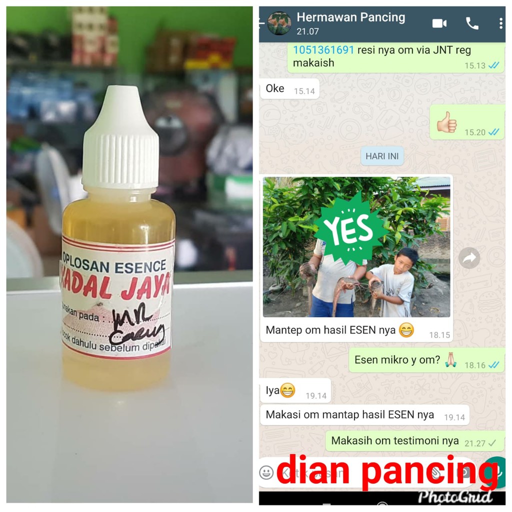 Essen Mikro Cacing Asli Kadal Jaya Isi 30 ml