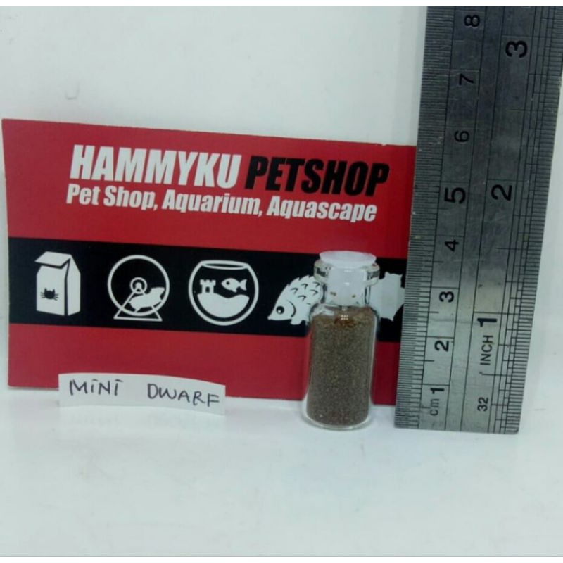 BIBIT CARPET AQUARIUM AQUASCAPE