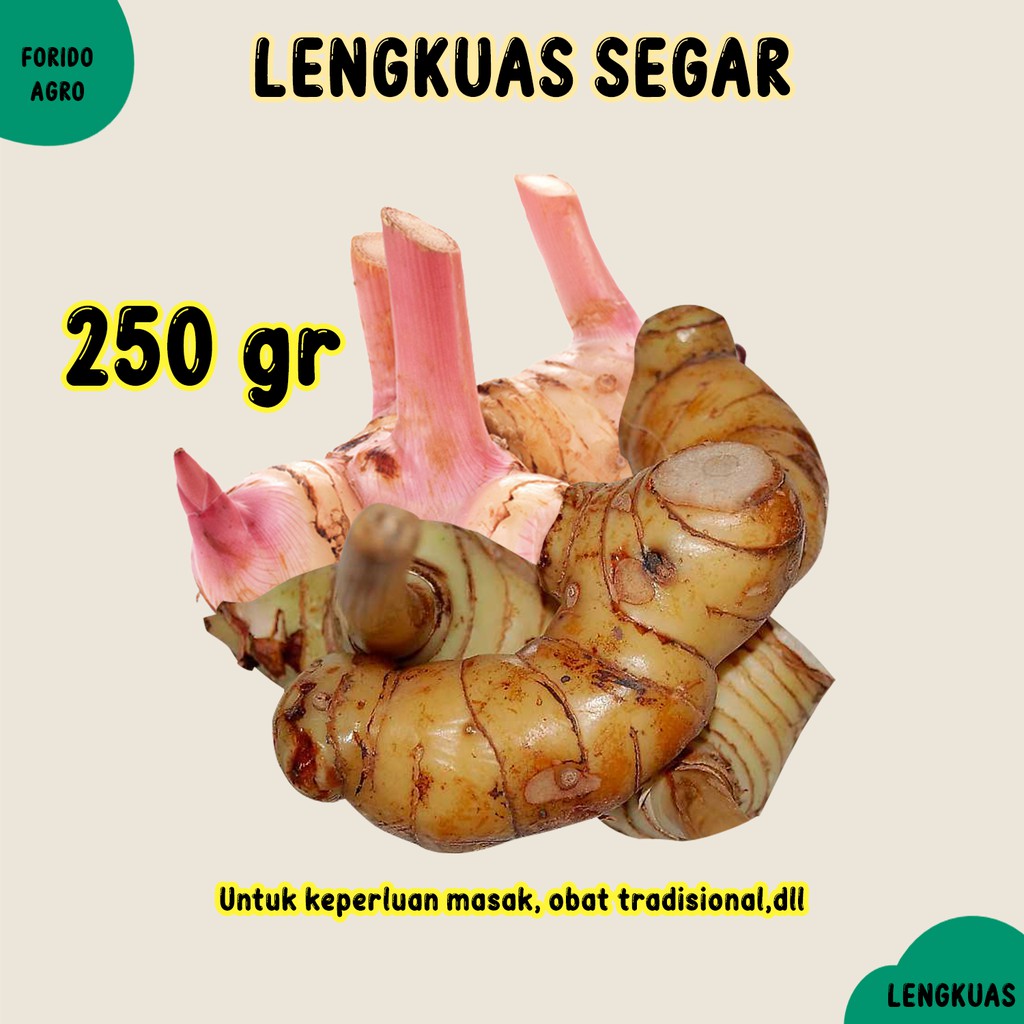 

Lengkuas - Laos Merah 250gr