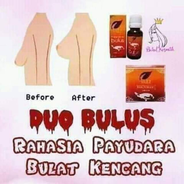 

Duobulussr12