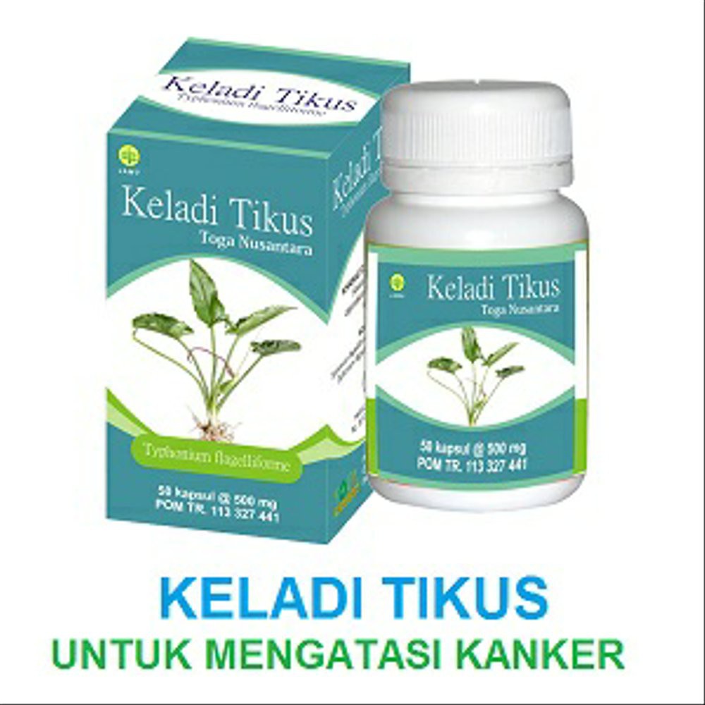 Kapsul Keladi Tikus