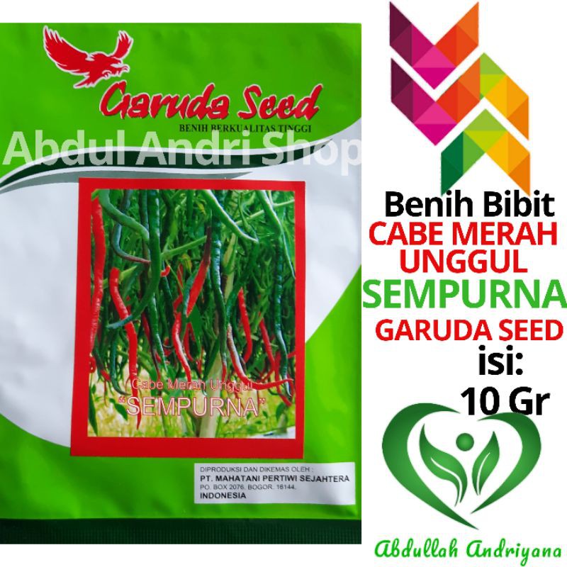 Benih Cabe Kriting Unggul SEMPURNA 10 Gram bibit cabe keriting Garuda seed