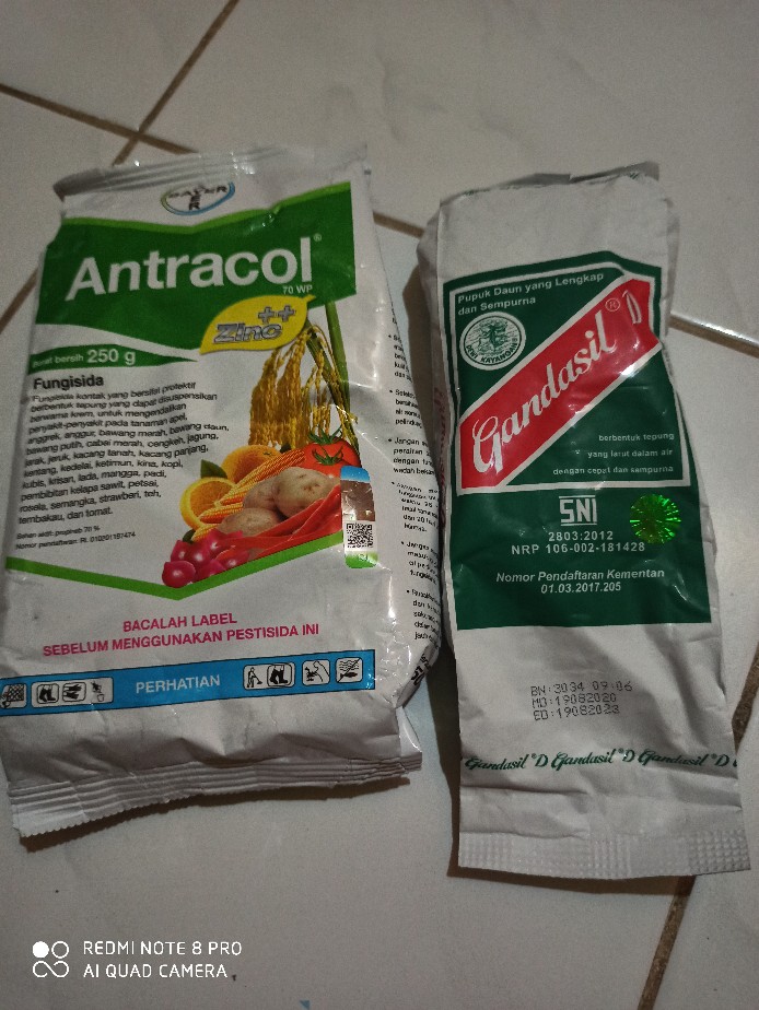 Antracol 70wp 250gr - 500gr