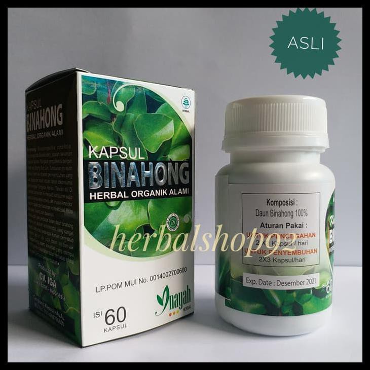 

Kapsul Daun Binahong Inayah Original