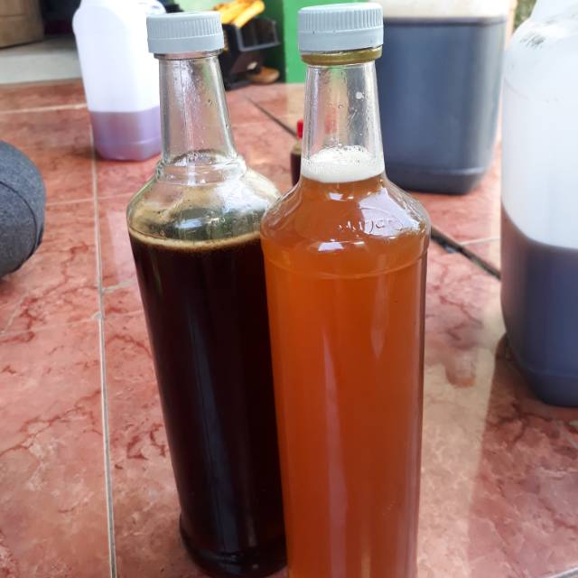 

Madu Murni [Madu asli] Madu Hutan / Dorsata Ukuran 1Kg