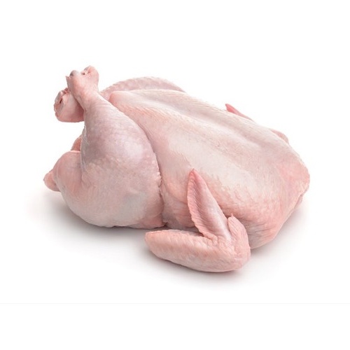 

Daging ayam negri utuh super 1.1 - 1.4kg