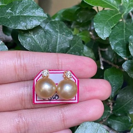 Giwang semut giwang tusuk sirkon permata mutiara air laut lombok rachma pearls women earrings cantik