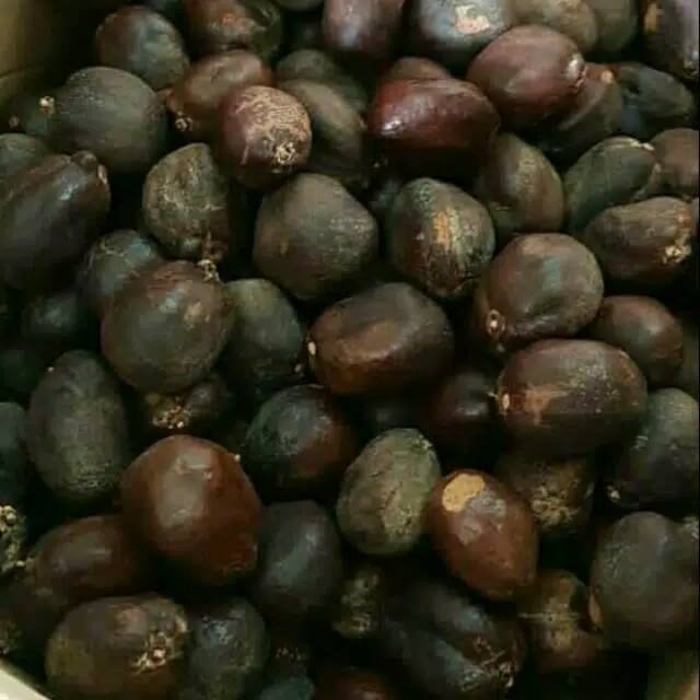 

Termurah 1 kg buah zuriat+free testpack