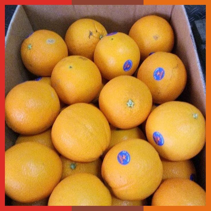 

Buah Jeruk Sunkist Import Valencia 1Kg Dijamin Dibawah Pasara