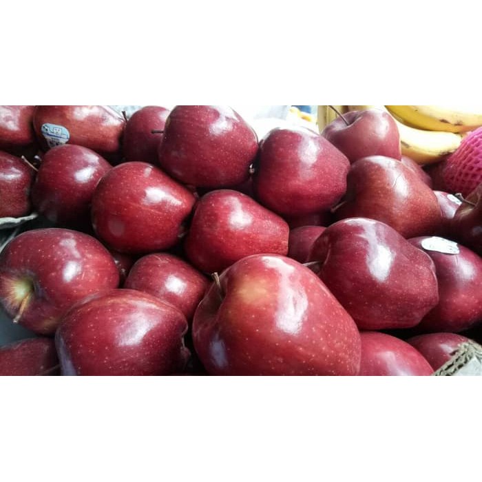 

Apel Merah Jumbo 1kg