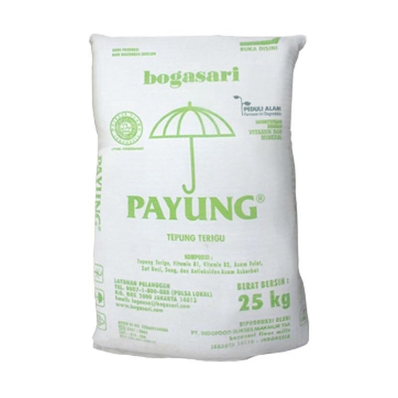 

TEPUNG TERIGU PAYUNG 25 kg