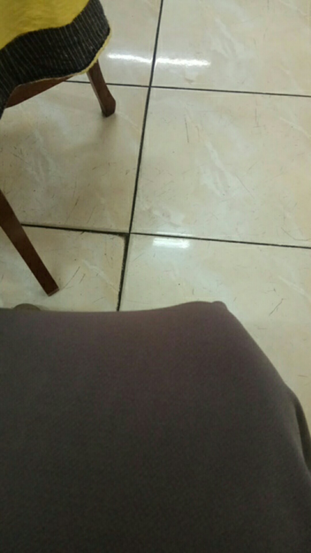 Fishpond M | Kolam Ikan Plastik | Bak Aquarium Ikan