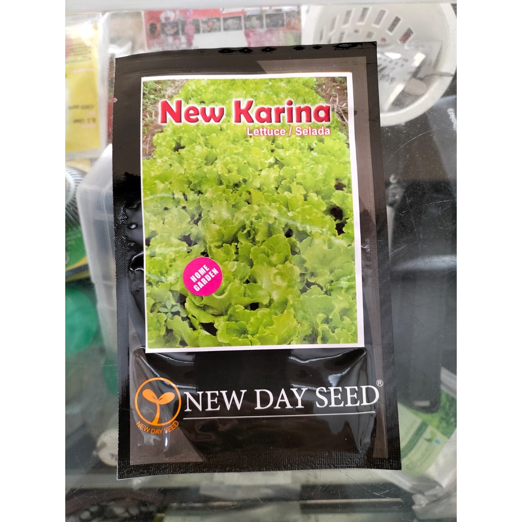 Bibit benih Selada HIjau New Karina New Day Seed