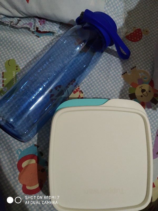 Lolly Tup Bersekat Ecer 1pcs