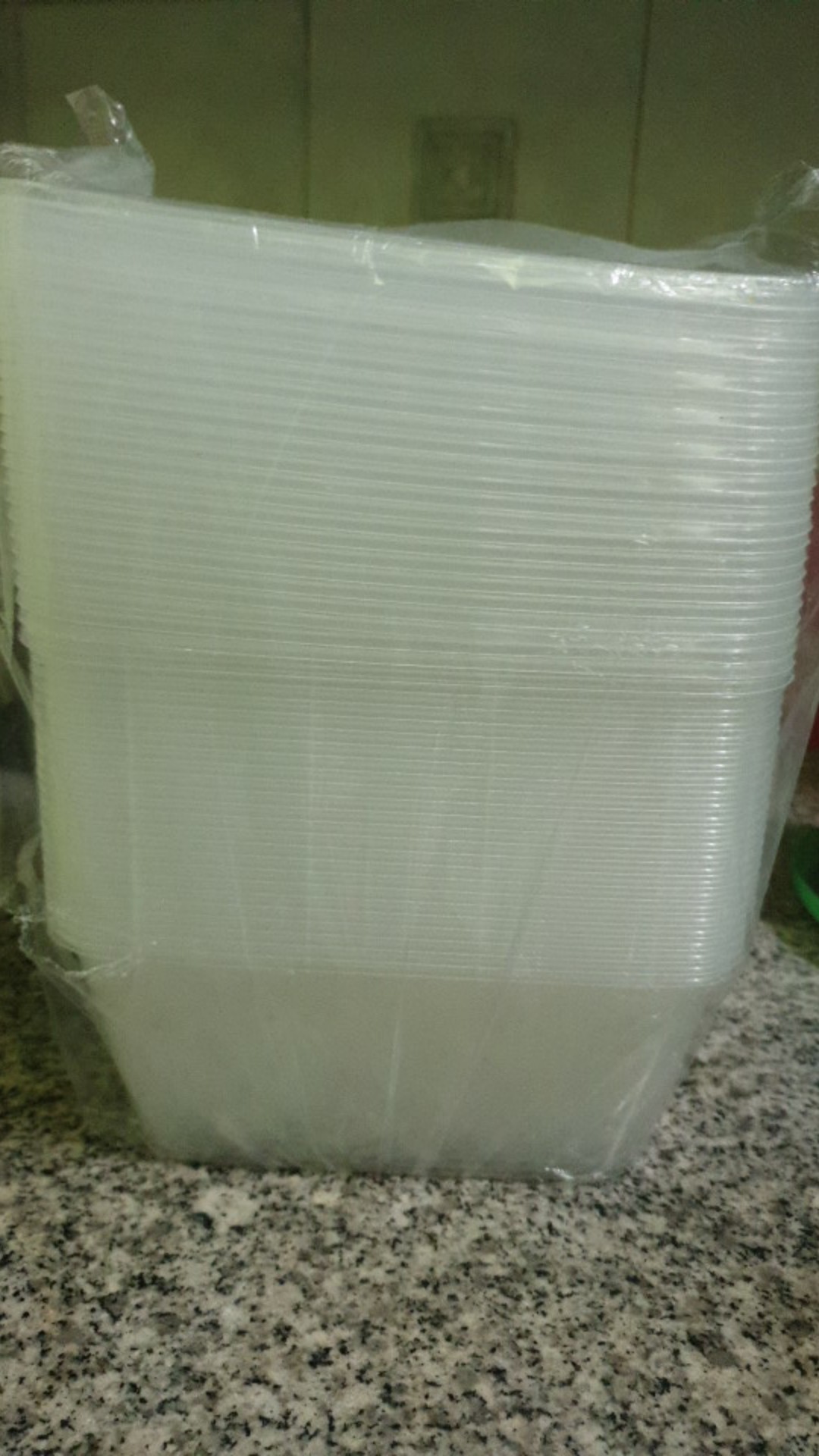 Thinwall Panjang 1000ml  - Kotak Makan Anti Panas - Food Container