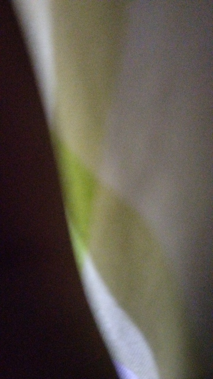 Payung Golf   Payung Pelangi   Payung Hujan   Payung Jualan   Jumbo 16 Jari