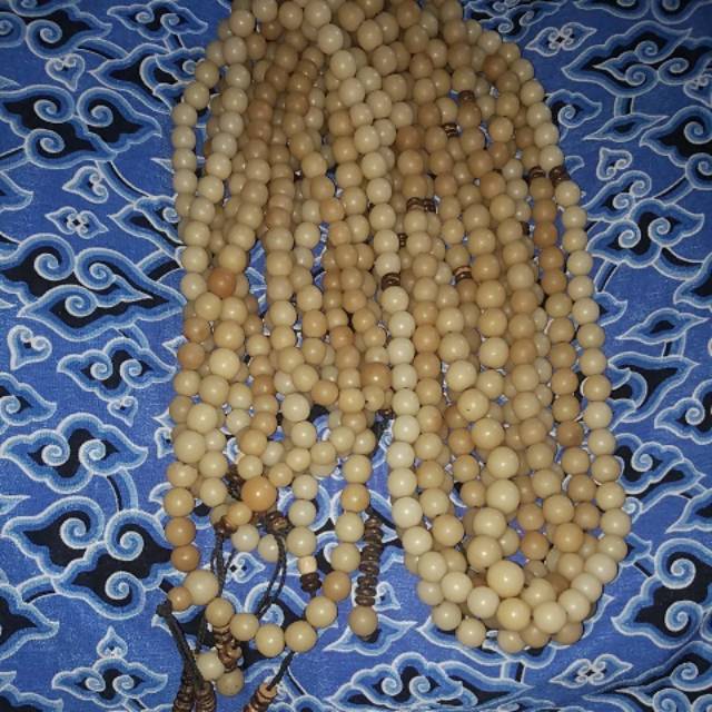 

Tasih biji gebang dim 12 isian 100