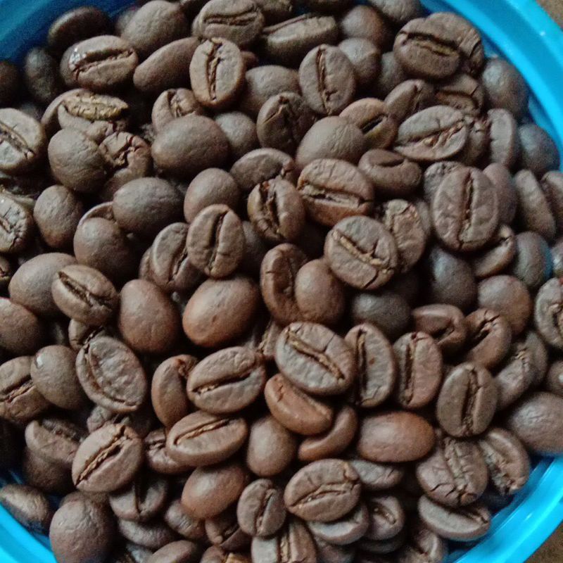 

kopi robusta ucok