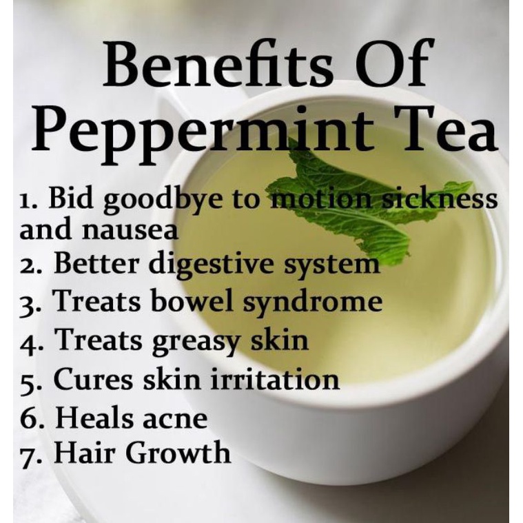 Yerba Mint Tea : Teh Yerba Mate &amp; Teh Daun Mint - 30 Tea Bag