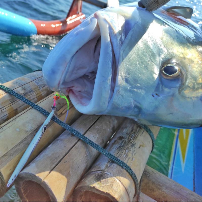Jigging Hook Berlubang JK Limited Edition Ocean Angler Mata Kail Berlubang