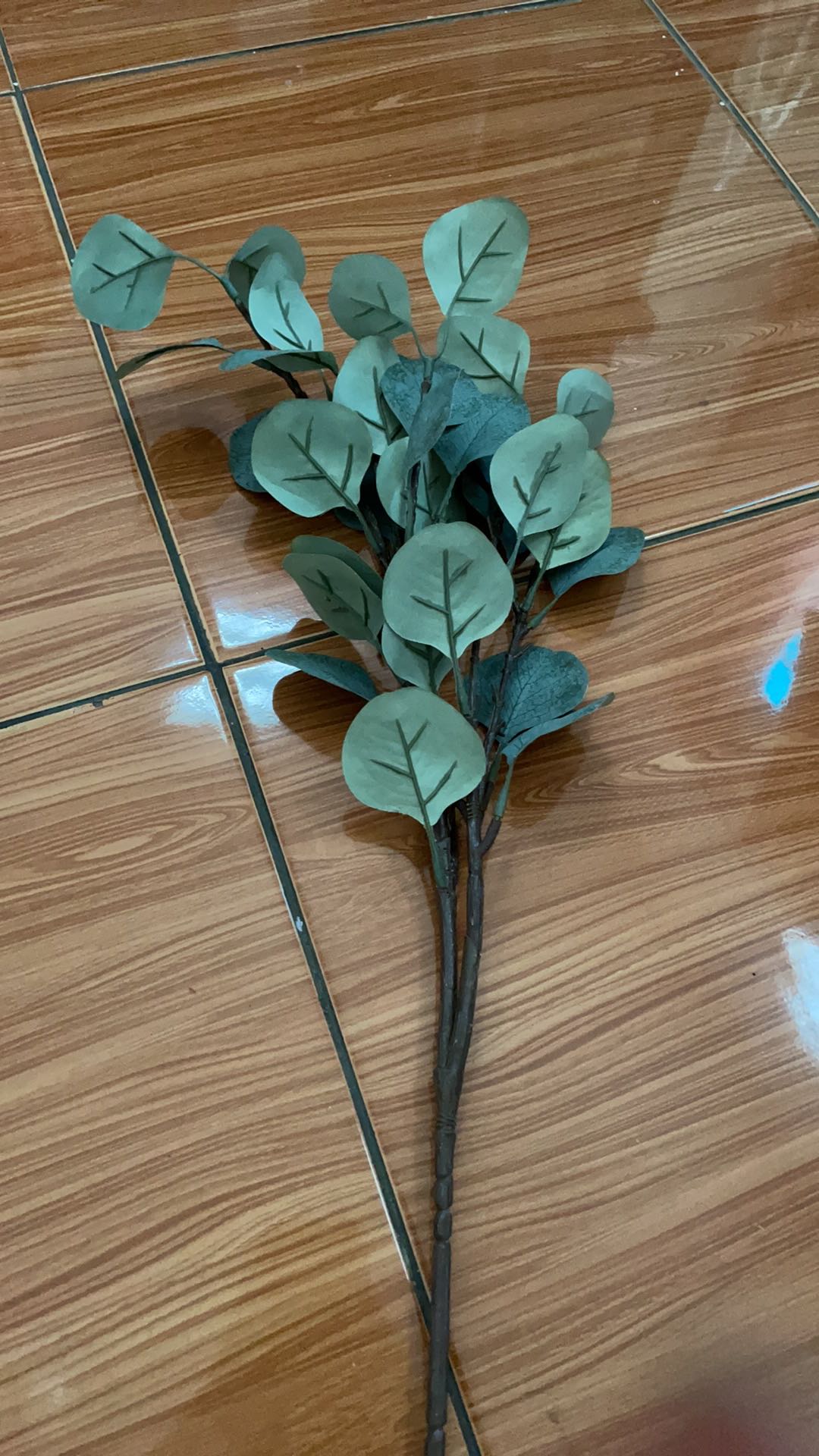 Euca. Eucalyptus Artificial