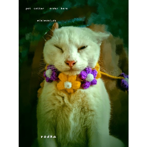 kalung kucing / pet collar / kalung / collar / rajut / benang woll / kucing / termurah