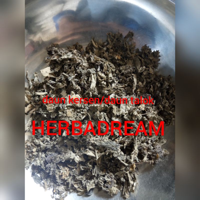 Jual Gram Daun Talok Muntingia Calabura Kersen Seri Ceri Singapore Cherry Yingtao Jawa