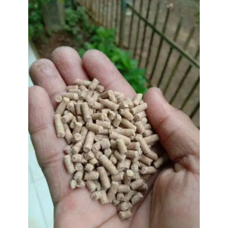 

Pakan Udang Hias - Ikan Hias PAKAN TENGGELAM