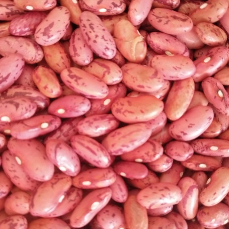 Kacang merah kering 1kg