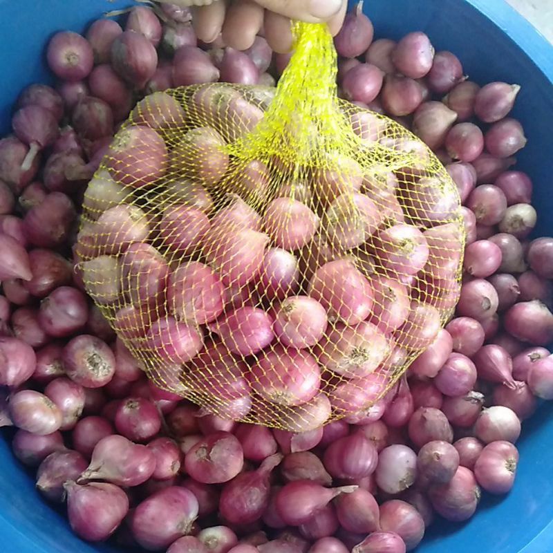 

Bawang merah