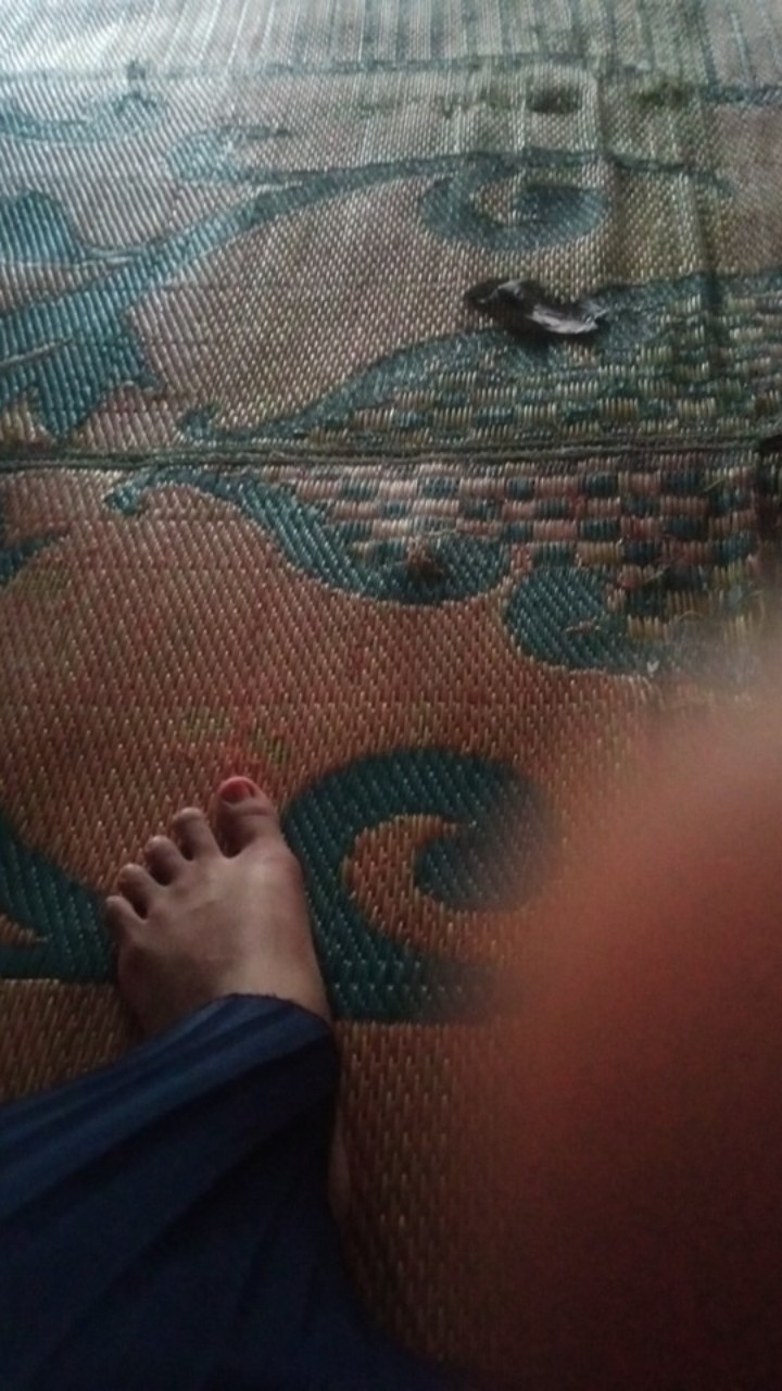 Bswart Batik Hrb026 Kenongo Hem Pendek Anjani Biru Pekalongan M L Xl Batik Pria Murah Modern Grosir