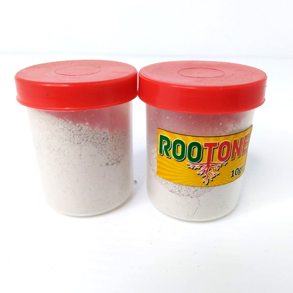 CUCI GUDANG Rootone F – Hormon Akar