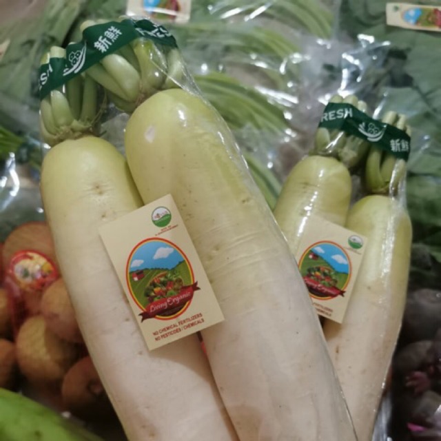 

Lobak Korea Organik 1 Kg