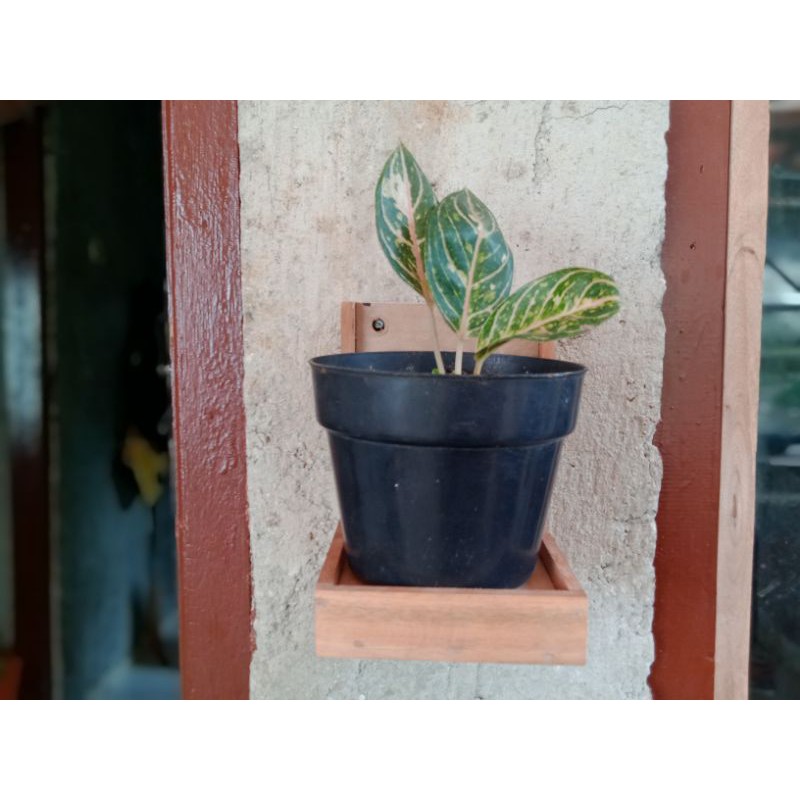 Rak Bunga Dinding Minimalis