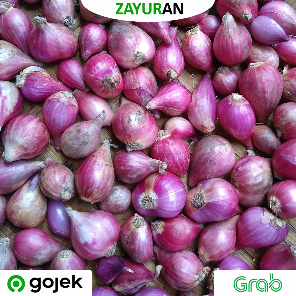 

Bawang Merah | Zayuran