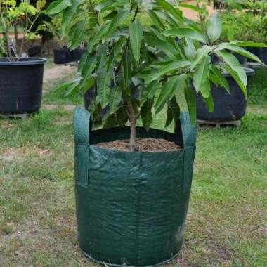 planter bag 75 liter
