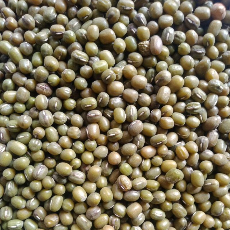 

kacang hijau import 1kg