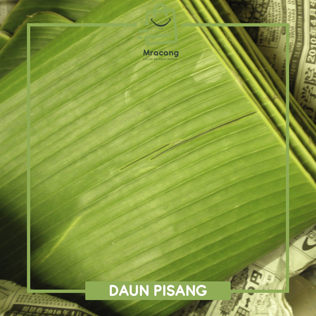 Daun Pisang