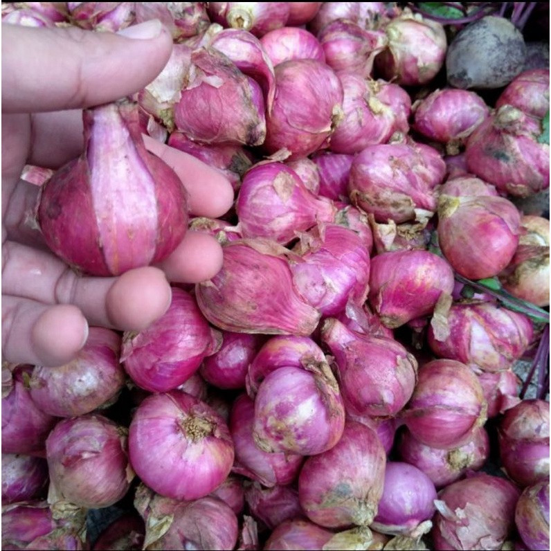 

bawang merah batu 1 kg sayuran segar