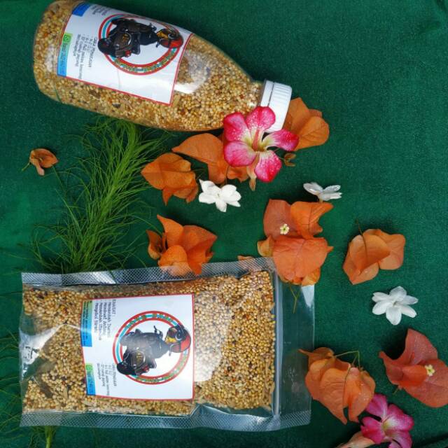 Pakan lomba burung lovebird