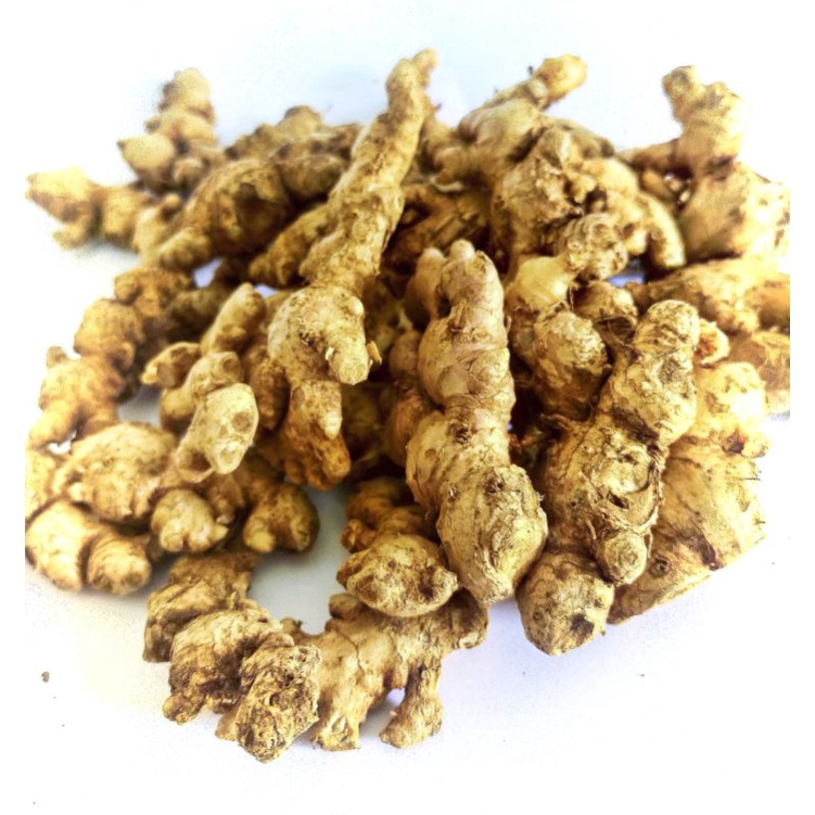 

JAHE JAE EMPRIT 500G