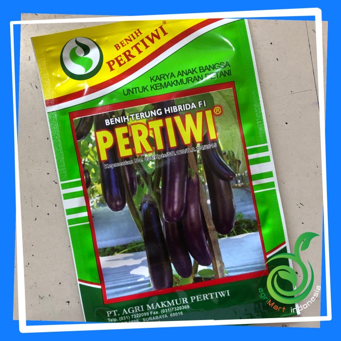 PERTIWI - Benih Terung / Terong Ungu Hibrida F1 "Pertiwi"