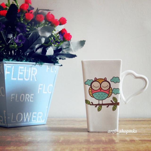 Gelas/mug owl lucu