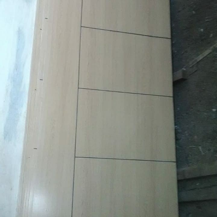 Pintu Double Triplek
