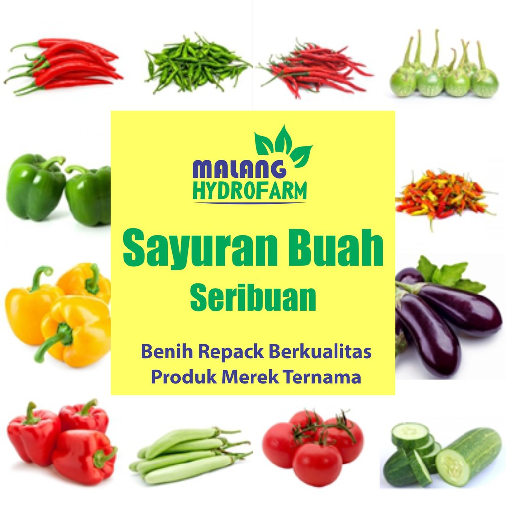 Benih Sayuran Buah Seribuan Berkualitas biji bibit hidroponik hydroponik sayur paket hijau