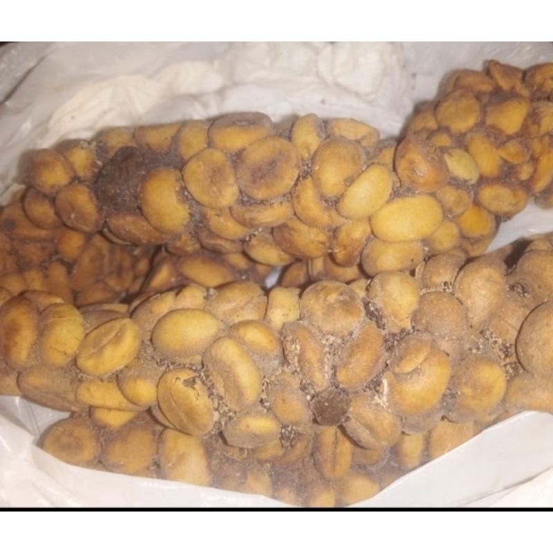

Feses kering Luwak Liar tanpa proses RA